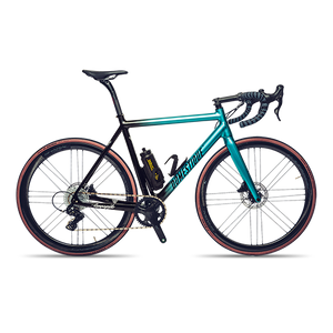 HPS Domestique 21 E-bike